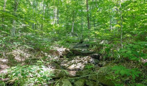 Photo #46 of 8942 Spearman, Reidsville, NC 453.0 acres