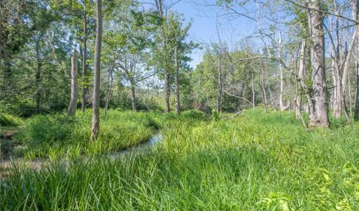Photo #47 of 8942 Spearman, Reidsville, NC 453.0 acres