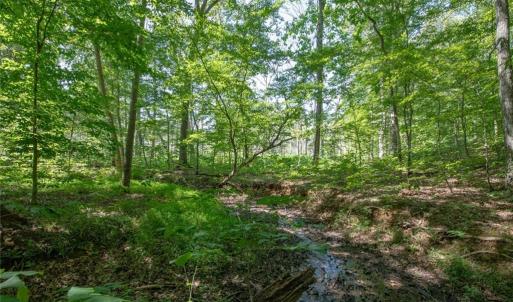 Photo #20 of 8942 Spearman, Reidsville, NC 453.0 acres
