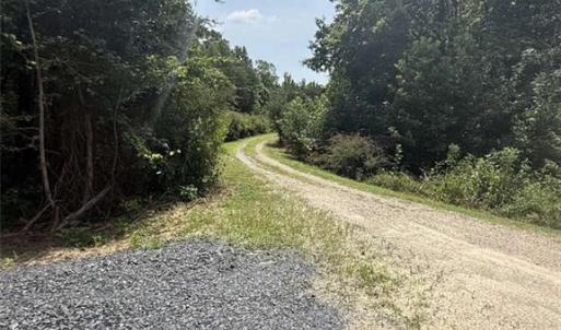 Photo #6 of 1011 Mill Ridge, Providence, NC 6.0 acres