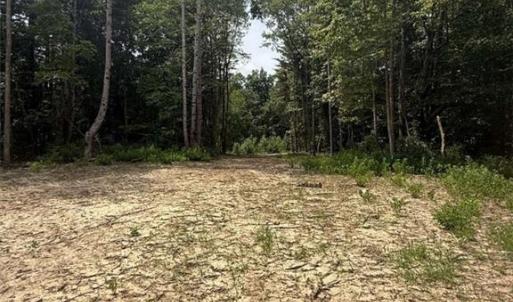Photo #9 of 1011 Mill Ridge, Providence, NC 6.0 acres
