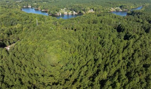 Photo #3 of 146 Cove Wood, Denton, NC 10.8 acres