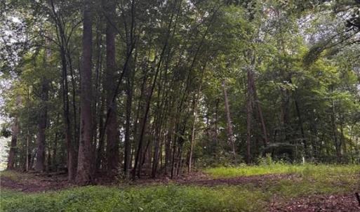 Photo #13 of Myers, Winston-Salem, NC 5.6 acres