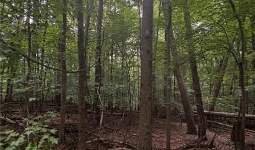 Photo #12 of Myers, Winston-Salem, NC 5.6 acres