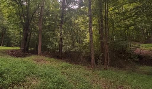 Photo #22 of Myers, Winston-Salem, NC 5.6 acres