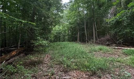 Photo #10 of Myers, Winston-Salem, NC 5.6 acres