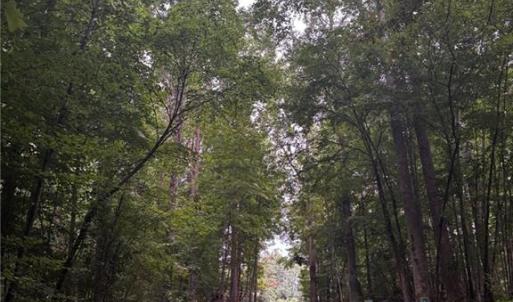 Photo #14 of Myers, Winston-Salem, NC 5.6 acres