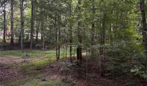 Photo #15 of Myers, Winston-Salem, NC 5.6 acres