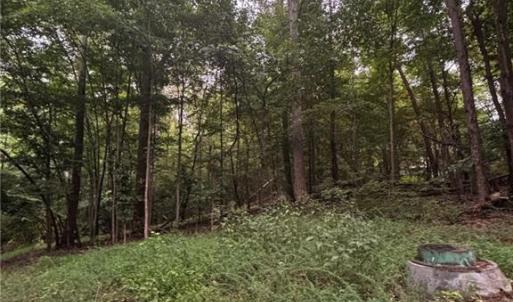 Photo #11 of Myers, Winston-Salem, NC 5.6 acres