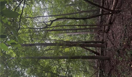 Photo #19 of Myers, Winston-Salem, NC 5.6 acres