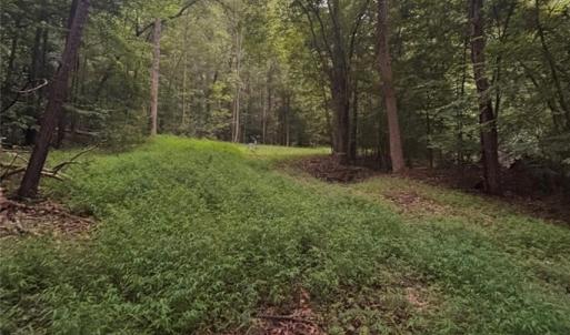 Photo #21 of Myers, Winston-Salem, NC 5.6 acres