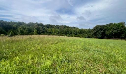 Photo #2 of Dorse, Lewisville, NC 31.1 acres