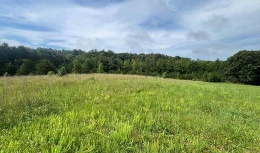 Photo #1 of Dorse, Lewisville, NC 31.1 acres