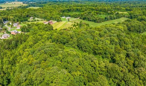 Photo #13 of Dorse, Lewisville, NC 31.1 acres