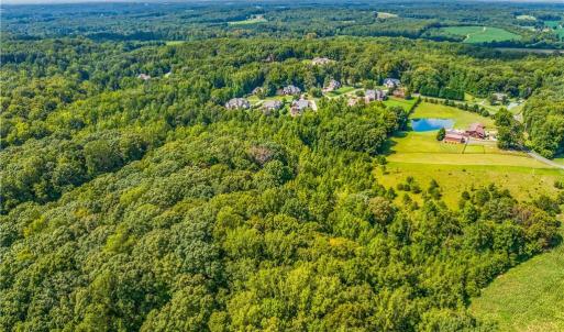 Photo #16 of Dorse, Lewisville, NC 31.1 acres