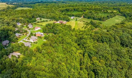 Photo #12 of Dorse, Lewisville, NC 31.1 acres
