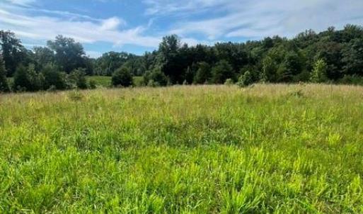 Photo #3 of Dorse, Lewisville, NC 31.1 acres