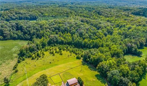 Photo #9 of Dorse, Lewisville, NC 31.1 acres