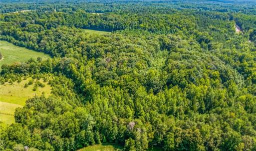 Photo #10 of Dorse, Lewisville, NC 31.1 acres