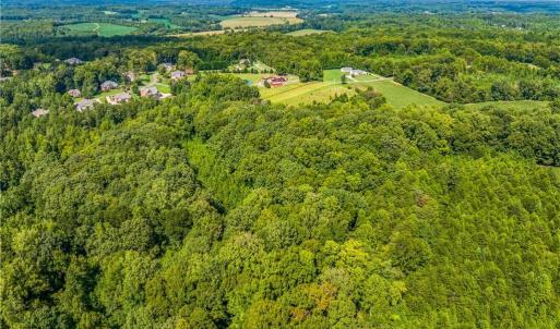 Photo #14 of Dorse, Lewisville, NC 31.1 acres