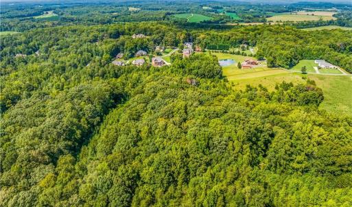 Photo #15 of Dorse, Lewisville, NC 31.1 acres