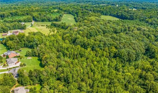 Photo #11 of Dorse, Lewisville, NC 31.1 acres