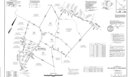 Photo #4 of Dorse, Lewisville, NC 31.1 acres
