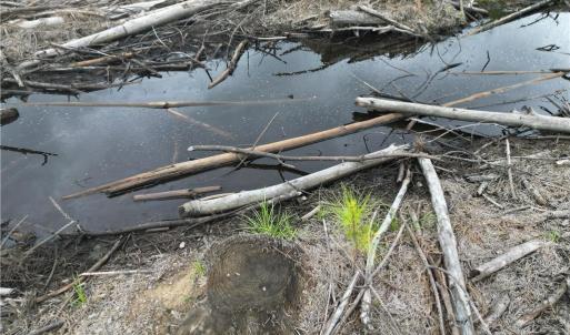 Photo #27 of 3950 Shiptontown, Lexington, NC 30.1 acres