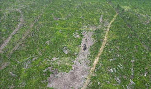 Photo #12 of 3950 Shiptontown, Lexington, NC 30.1 acres