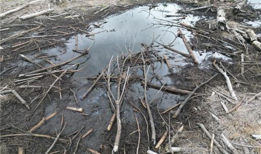 Photo #26 of 3950 Shiptontown, Lexington, NC 30.1 acres