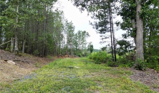 Photo #3 of 3950 Shiptontown, Lexington, NC 30.1 acres