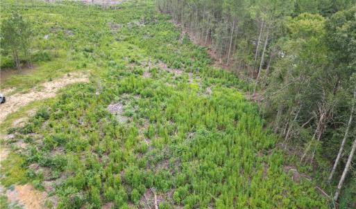 Photo #32 of 3950 Shiptontown, Lexington, NC 30.1 acres