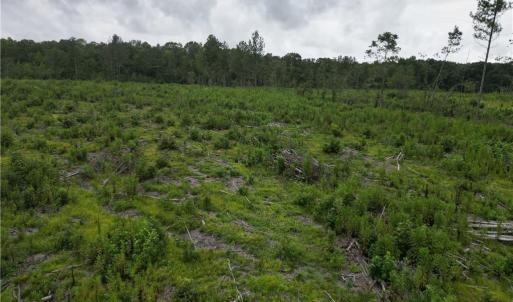 Photo #20 of 3950 Shiptontown, Lexington, NC 30.1 acres