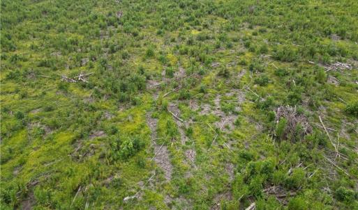 Photo #24 of 3950 Shiptontown, Lexington, NC 30.1 acres