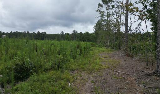 Photo #18 of 3950 Shiptontown, Lexington, NC 30.1 acres