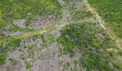 Photo #25 of 3950 Shiptontown, Lexington, NC 30.1 acres