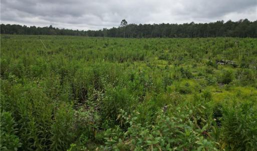 Photo #21 of 3950 Shiptontown, Lexington, NC 30.1 acres