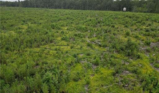 Photo #23 of 3950 Shiptontown, Lexington, NC 30.1 acres