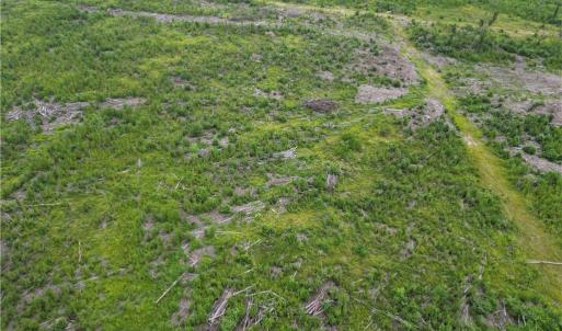 Photo #14 of 3950 Shiptontown, Lexington, NC 30.1 acres