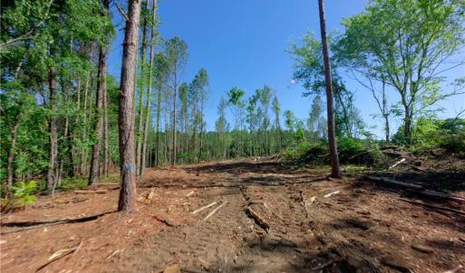 Photo #6 of Carson, Cleveland, NC 10.2 acres