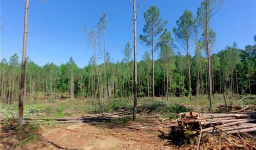 Photo #7 of Carson, Cleveland, NC 10.2 acres