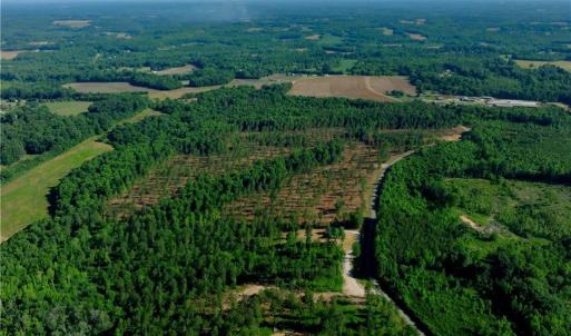 Photo #9 of Carson, Cleveland, NC 10.2 acres