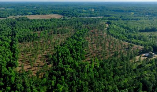 Photo #14 of Carson, Cleveland, NC 10.2 acres