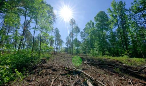 Photo #11 of Carson, Cleveland, NC 10.2 acres