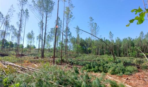 Photo #8 of Carson, Cleveland, NC 10.2 acres