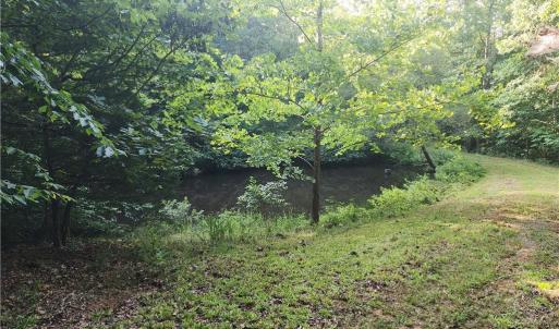 Photo #23 of River Bluff Farms, Tobaccoville, NC 15.6 acres