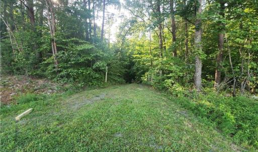 Photo #13 of River Bluff Farms, Tobaccoville, NC 15.6 acres