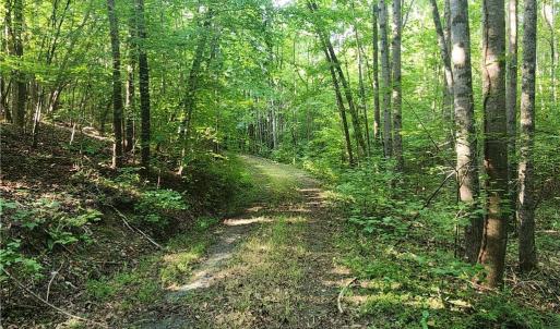 Photo #17 of River Bluff Farms, Tobaccoville, NC 15.6 acres