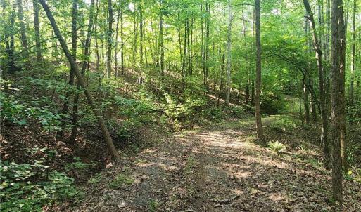 Photo #16 of River Bluff Farms, Tobaccoville, NC 15.6 acres