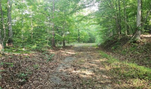 Photo #26 of River Bluff Farms, Tobaccoville, NC 15.6 acres